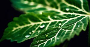 Piek hurt: Skuteczne zwalczanie i zapobieganie